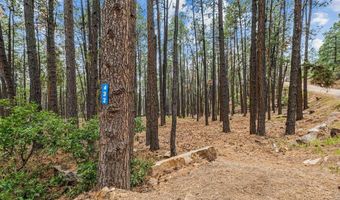 432 Blue Ridge Dr, Bayfield, CO 81122
