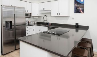 100 E DEAN St 1D, Aspen, CO 81611