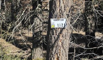 Lot 1121 Cochiti Circle, Angel Fire, NM 87710