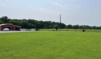 970 Ross Raines, Albertville, AL 35951