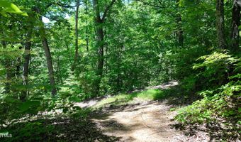 1475 Davis Valley Rd, Afton, TN 37616