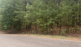 19 Pizarro Dr, Hot Springs Village, AR 71909