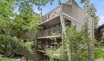 800 E Hopkins Ave B5, Aspen, CO 81611