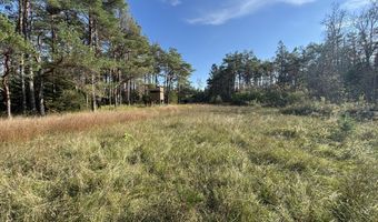 5280 Cathro Rd, Alpena, MI 49707