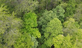 643 Radar Rd, Ararat, NC 27007