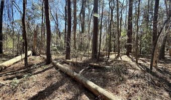 0 Lot 1 Creek Place Rd, Arapahoe, NC 28510