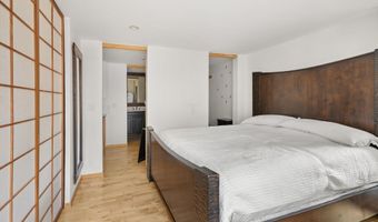 935 E Hopkins Ave 7, Aspen, CO 81611