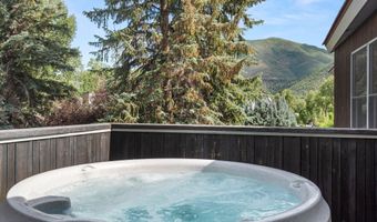 939 E Cooper Ave B, Aspen, CO 81611