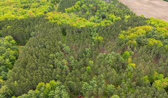 3548 BREHMER Rd, Abrams, WI 54101