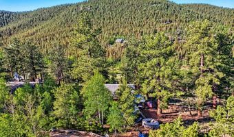 226 Hall Rd, Bailey, CO 80421