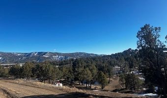 132 White Tail Pl, Arboles, CO 81121