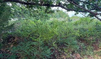Co Rd 539, Ava, MO 65629