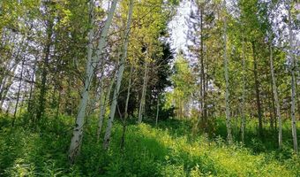 1355 S Timberline Rd, Ashton, ID 83420