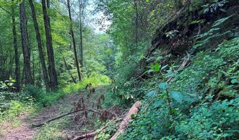 88 Acres Bolden Br, Andrews, NC 28901