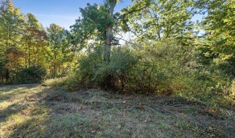 VL 61acres 34th, Allegan, MI 49010