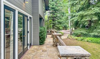 1425 Red Butte Dr, Aspen, CO 81611