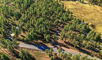 25319 US Hwy 191, Alpine, AZ 85920