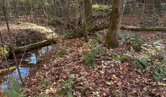 39 Planters Creek Dr, Baldwin, GA 30511