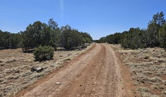 Tbd N8060, Concho, AZ 85924