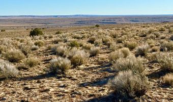 N7009 40 Acres, Chambers, AZ 86502