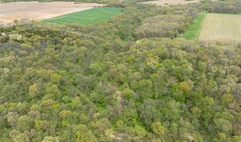 Tbd 194th Avenue, Argyle, IA 52619