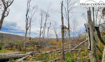 A18 Meadow Ave Loop, Banner Elk, NC 28604