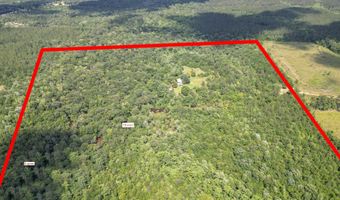 Hummingbird Lane, Ponce De Leon, FL 32455
