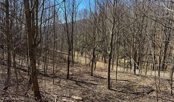 Lot # 70 Tall Tree Lane, Banner Elk, NC 28604