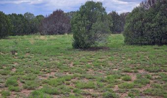 Birdwing Lane, Clay Springs, AZ 85923