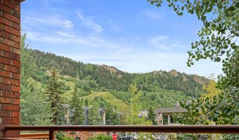 450 S Original St 8, Aspen, CO 81611