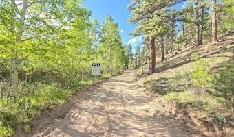 226 Hall Rd, Bailey, CO 80421