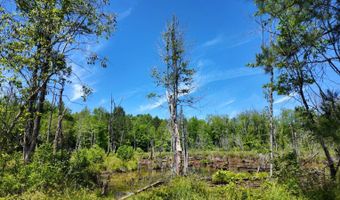 County Road 38, Autaugaville, AL 36003