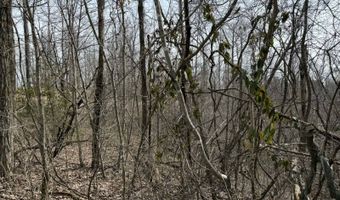 Malone Ridge Rd, Albany, KY 42602