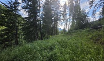 480 Dunn Peak Rd, Avery, ID 83802