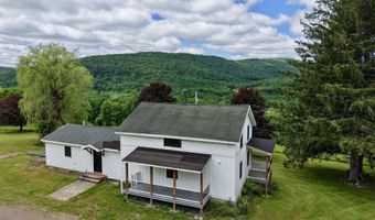 240 Dowie Rd, Andes, NY 13731