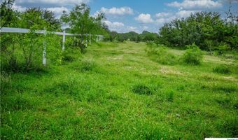 La Vernia Road, Adkins, TX 78101
