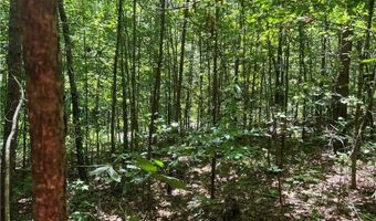 Fortner Road, Ball Ground, GA 30107