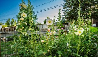 936 N Carrington Ave, Buffalo, WY 82834