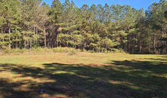 7501 Rainey Morris Rd, Appling, GA 30802