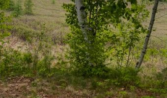 4422 Bennoch Rd, Acton, ME 04468