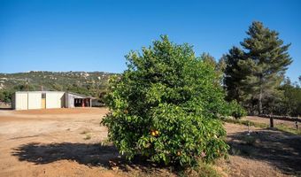 22170 JAPATUL VALLEY Rd, Alpine, CA 91901