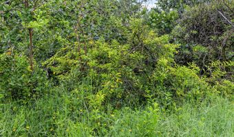 PARADISE DR, Keaau, HI 96749