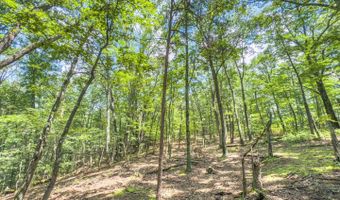 1393 Woodland Mountain Trl, Augusta, WV 26704