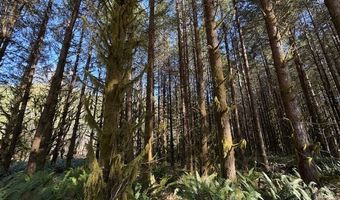 Logsden Rd, Blodgett, OR 97326