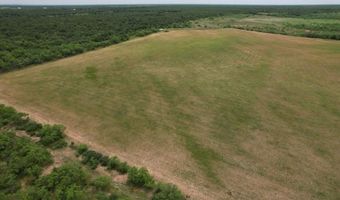 Tbd FM 600, Anson, TX 79501