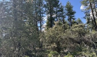 Thunderbear Road 46, Bonanza, OR 97623
