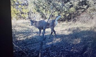 0 Thomas Rd, Altoona, KS 66710