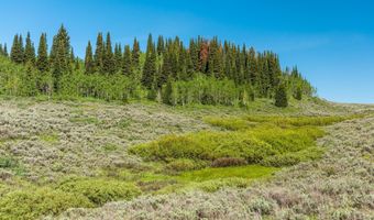 Tbd CARROLL Lane, Daniel, WY 83115