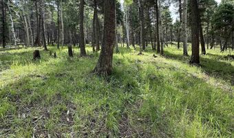 Lot 577 El Camino Real, Angel Fire, NM 87710