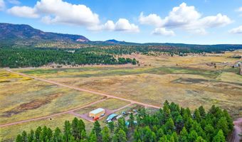 42856 US-180, Alpine, AZ 85920